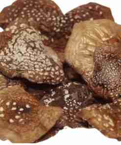 Amanita-Phanterina-Chapels-Cap-Divine