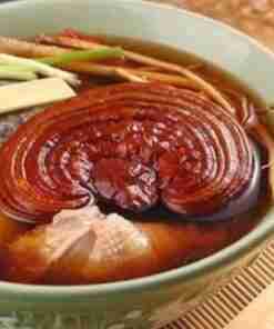 ganoderma Lucidu reishi Ling Zhi(4)