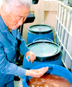 Fermentati Fervida - Arance Sicilia - Microrganismi Effettivi 10 anni