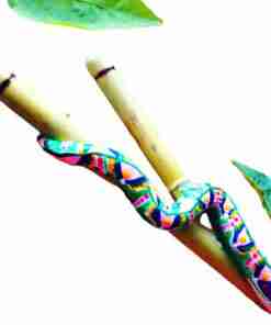 Kuripe Large Snake - Mixcolor Primordial Bamboo