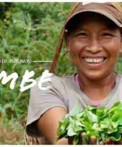 Mambe Ypadu Ready Alivio 100% Organic - Peruvian Style